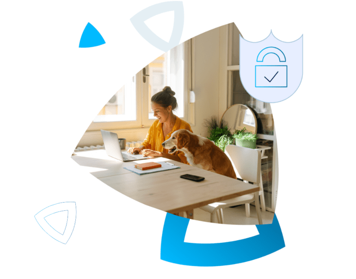 Zeotap security and privacy tools